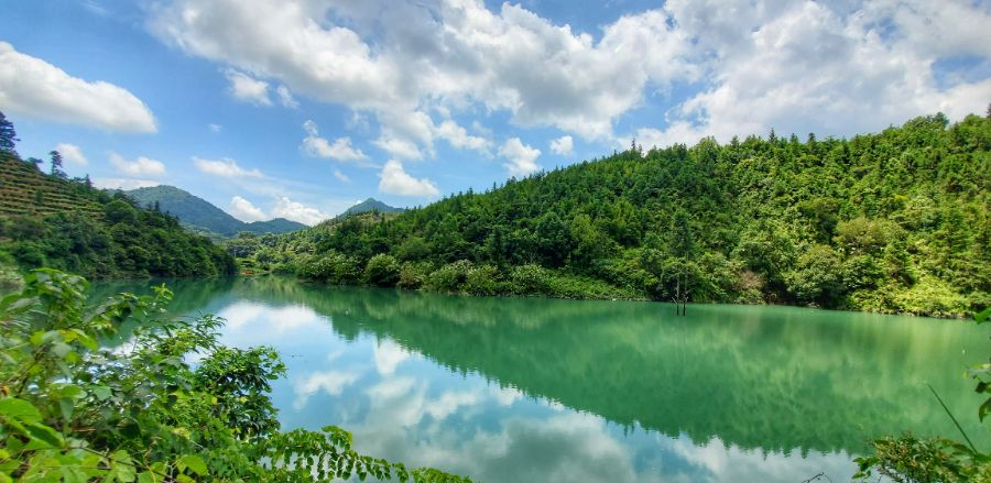 點綠成金：廣東林業(yè)產(chǎn)業(yè)沖刺萬億大關(guān)(圖2)